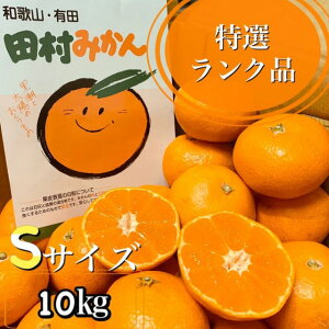 ẌꉟI̊Âۏؕt**yIBLc݂̍ōuhĉ݂ȂłドNiIzIBa̎RY@c݂*STCY*IGi*10kg(120)*Mtg