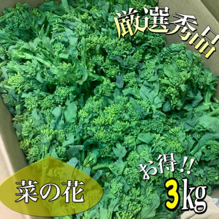 楽天市場 厳選秀品 菜の花 花菜 なばな 京都府産か滋賀県産で厳選 1ケース約3kg京都お取り寄せ 旬 京野菜 京やさい 贈答 感謝 まごころ込めた初春の贈り物 健康やさい 菜種 京都の八百屋さん さくらいや 楽天市場 厳選秀品 菜の花 花菜 なばな 京都府産か滋賀県産で厳選 1ケース約3kg京都お取り寄せ 旬 京野菜 京やさい 贈答 感謝 まごころ込めた初春の贈り物 健康やさい 菜種 京都の八百屋さん さくらいや