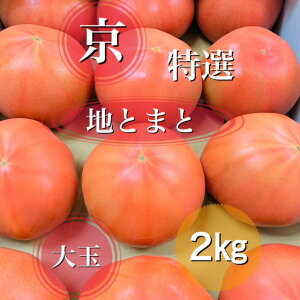 トマト 2kg」の人気商品一覧・価格比較 - 価格.com