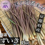 新着**【厳選】京都府産ずいき（芋茎　ズイキ）*秀品* 約1kg S〜2Lサイズ(細目)*写真はMサイズ細目です*…