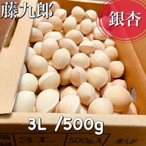 {̂߁I*lCȂ*yYzmc]**Ȃ嗱*3LTCY*500g̃fUC͕ςꍇ܂w4܂œꑗ*MtgɂI*a*Ε*G