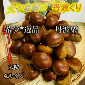 XꉟIIׁIy*i**嗱4LTCYzI*OgI΂4LTCYOgY 500g*Mtgɂ*a*Ε**G߂̑蕨*VN**Ii*aIMtg