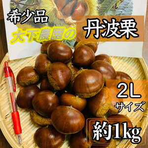 XꉟIIi**y󏭌zI*OgI΂**2LTCYOgY 1kgw2ȏ͑ύXƂȂ܂*Mtgɂ*a*Ε*G߂̑蕨*VN**