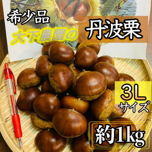 XꉟIIi**y󏭌zI*OgI΂ 嗱3LTCYOgY@1kgw2ȏ͑ύXƂȂ܂*Mtgɂ*a*Ε*G߂̑蕨*VN*