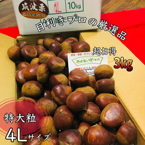 lCI̓**yHGz}gI΂()*嗱*4LTCY**QY*IGi**3kg***Mtgɂ*a*䒆*G߂̑蕨*VN**Ii*aIMtg*