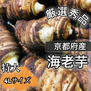 I{̂**y~GzIs{Y CV т*4LTCY*I*Gi* 1kg(1200`300gj w1܂œꑗ**s*؃Mtgɂ*₳