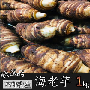 {̂߁Iy~Gzs{Y*ICVтL`2LTCY*IG*1kg(170`120gj *w2܂œꑗł**s*؃Mtgɂ*₳*