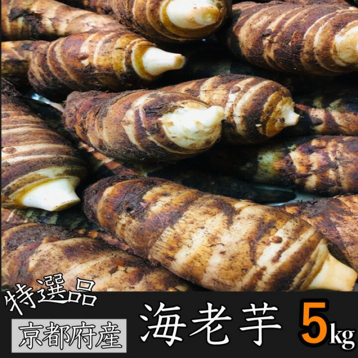 楽天市場】旬のおすすめ！【冬季限定】京都府産 特上！海老芋えびいもL 