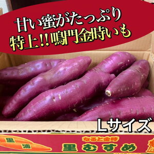 *ՂyYzI Ygނ߁hLTCY@5kgi18`22{j*ĂɂœK*炢ꉟ̕i*Â**i*n܂*Ȃ