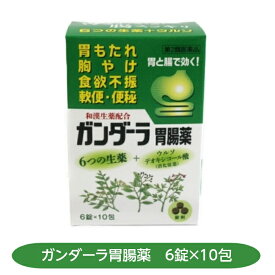 【第2類医薬品】ガンダーラ胃腸薬 6錠×10包 和漢生薬製剤 胃もたれ 胸やけ 消化不良 腹部膨満感 二反田薬品工業