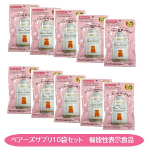 �x�A�[�Y�T�v��60g 10�܃Z�b�g �G���Y�C���N �@�\���\���H�i�@�I�����W����