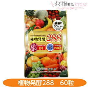 Ay288 Aѓ 60 A_ A}j 288ޑf