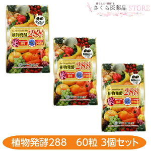 Ay288 Aѓ 60 3Zbg A_ A}j 288ޑf