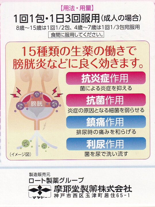 膀胱炎 - 内科・皮膚科・泌尿器科