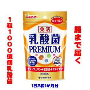 ���_�ۃv���~�A���@1000���@���N�g�t�F�����@�R�{��������