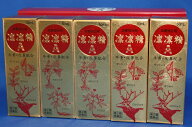りんりんせい 凛凛精A内服液 50mL 5本入×2個(10本) ゴオウ ハンピ ロクジョウ ニンジン インヨウカク タ…