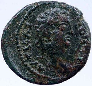 �f��w�O���f�B�G�[�^�[�x�ɓo�ꂷ��c��R���h�D�X 177�N �Ñネ�[�}�̃R�C�� �� i118494