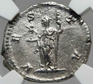 �W�����A�E�h���i �{�� �Ñネ�[�}��� 211�N ���F�X�^�E�p���f�B�E�� NGC i82942