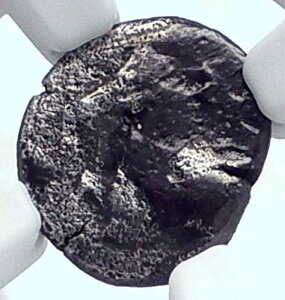 �X�p���N�h�R�X �g���L�A���� ��� �I���O460�N �n�ƃ��C�I�� NGC i81128