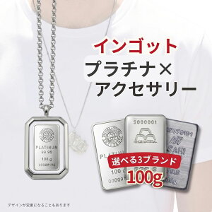 ���v���`�i×�A�N�Z�T���[ �C���S�b�g ���v���`�i 999.5 �l�b�N���X 100g �I�ׂ�3��� �c���M���� ���{�}�e���A�� ASAHI PLATINUM �W���G���[�g�Z�b�g �A�N�Z�T���[ �y���_���g�g�b�v