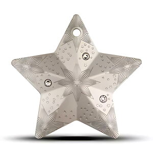 2024 1 �I���X �N�b�N���� �V���o�[ �z���f�[ �I�[�i�����g �X�^�[���[ �X�J�C �R�C��