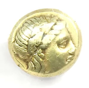 ���X�{�X �~�`���[�� EL �w�N�e �A�|�� �w�N�e �M���V�� �R�C�� �I���O 377 �N - �F�� NGC XF (EF)