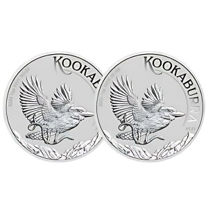 2 bg - 2024 $1 I[XgA Vo[CJZ~ 1 IX 0.9999 t@C BU