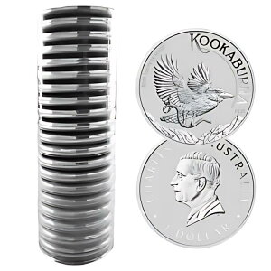 20 [ - 2024 $1 I[XgA Vo[CJZ~ 1 IX 0.9999 t@C BU