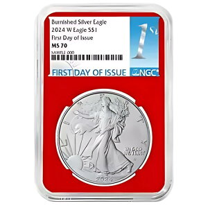 2024-W o[jbV $1 AJ Vo[ C[O NGC MS70 FDI t@[Xg x bh RA