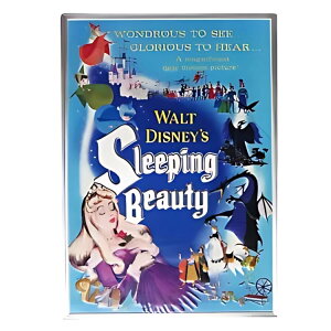 2024 j[W[h 5 IX Vo[ X̔|X^[ RCAOGP & COA