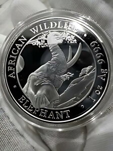 2023 �\�}���A (�\�}���A���a��) �� 1 �I���X��� �J�v�Z������