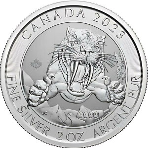 2023 ICE AGE �V���[�Y ? 2 �I���X .9999 �t�@�C�� �V���o�[ �X�~���h�� �T�[�x���g�D�[�X �L���b�g �J�v�Z������