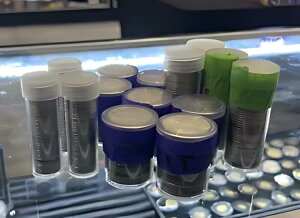 z 10 h 90% WN Vo[ NH[^[ (_ȔN)