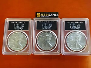 2018 W �o�[�j�b�V���V���o�[ �C�[�O�� PCGS SP70 ���o�e�B�������s�ꏊ�Z�b�g