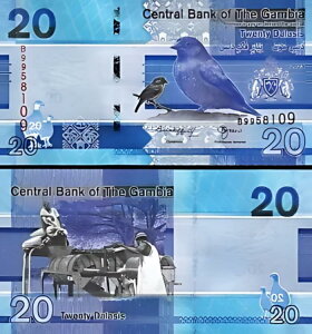 �K���r�A 20 �_���V 2023 (2024)�AUNC�AP-�V�������t�A�V�����L��