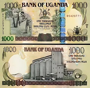 EK_ 1000 VO 2009AUNCAP-43b