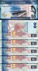 �X�������J 50 ���s�[ 2020�AUNC�A5 ���b�g�AP-�V�����T�C���A�V�������t