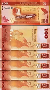 �X�������J 100 ���s�[ 2020�AUNC�A5 ���b�g�AP-�V�����T�C���A�V�������t