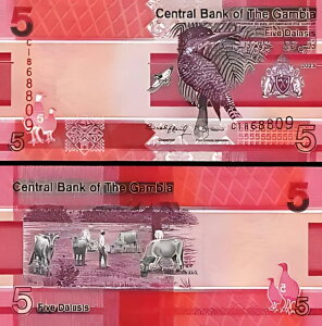 �K���r�A 5 �_���V 2023 (2024)�AUNC�AP-�V�������t�A�V�����L��