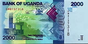 �E�K���_ 2000 �V�����O 2021 2022�ARADAR 7 �� 8137318�AUNC�AP-50 �V����������