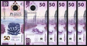 ���L�V�R 50 �y�\ 2022�AUNC�A�|���}�[�A5 ���b�g�AP-�V�������t�A�V��������