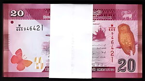 �X�������J 20 ���s�[ 2021�AUNC�A�o���h���A100 �p�b�N�AP-�V�����T�C���A�V�������t