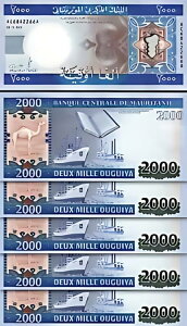 [^jA 2000 EMA 2011AUNCA5  LOTAAAP-20