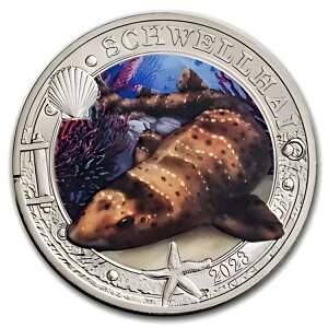 2023 I[XgA LvjbP ?3 Cm (XEFV[N)