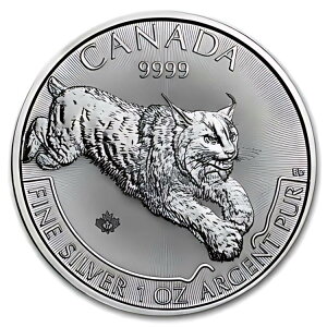 2017 Ji_ 1 IX Vo[ vf^[ V[Y NX