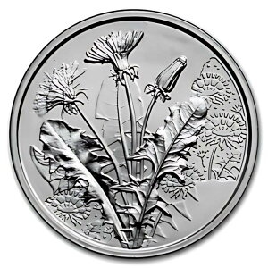 2022 I[XgA Vo[ ?10 Ԍt (^||)