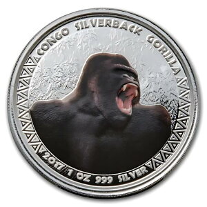 2017 �R���S���a�� 1 �I���X �V���o�[ �V���o�[�o�b�N �S���� (�J���[��)