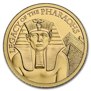 2022 NbN 1/2 O t@I̋̈Y