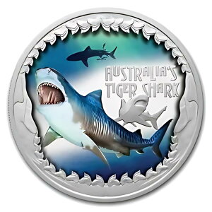 2023 co 1 IX Vo[ C^`U vIŊ댯 PF