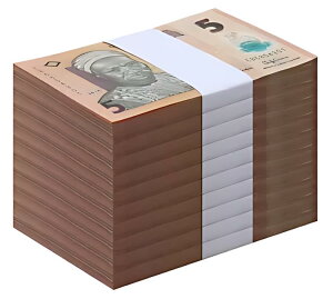 ナイジェリア 5 ナイラ、2018、P-38i、UNC、ポリマー X 1000 PCS レンガ